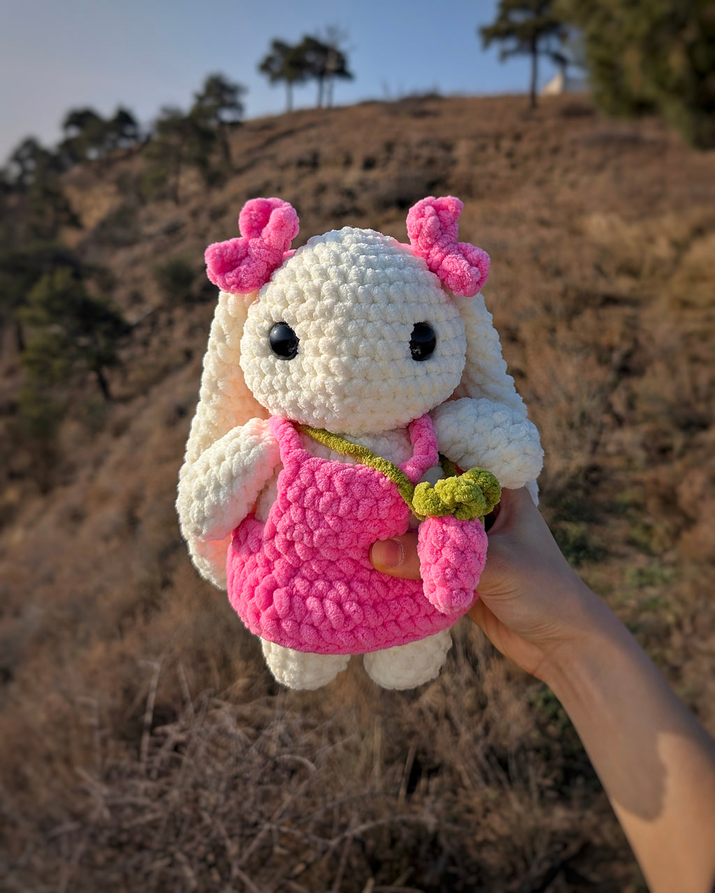 🐇Crochet Bunny in Pink Dress