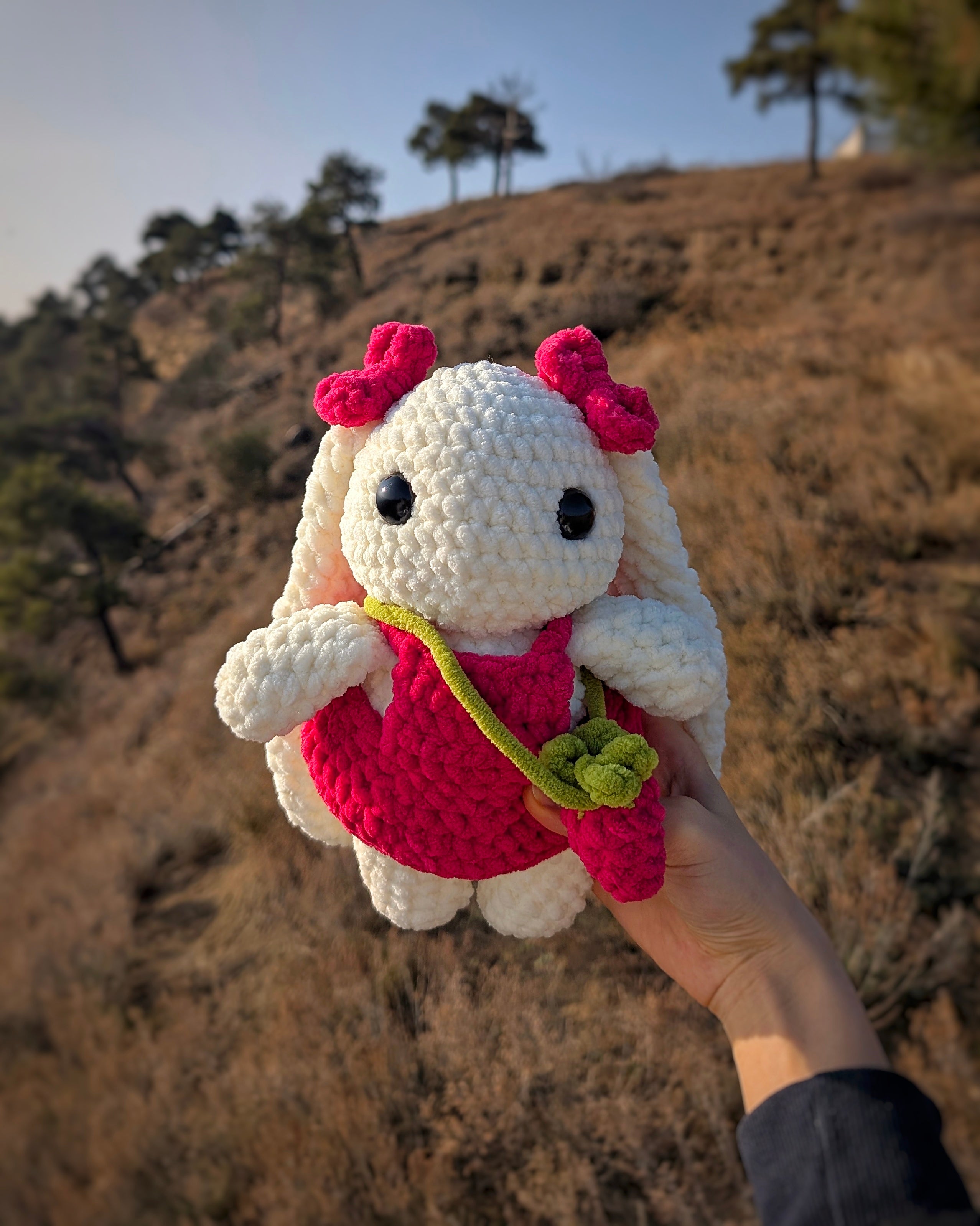 🐇 Crochet Bunny with Red Dress