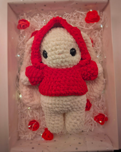 🐇Bunny in Red Hoodie